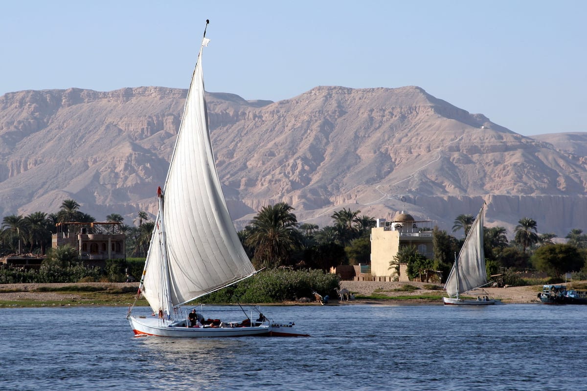 A river with sailboats, palm trees, and a mountainous backdrop.