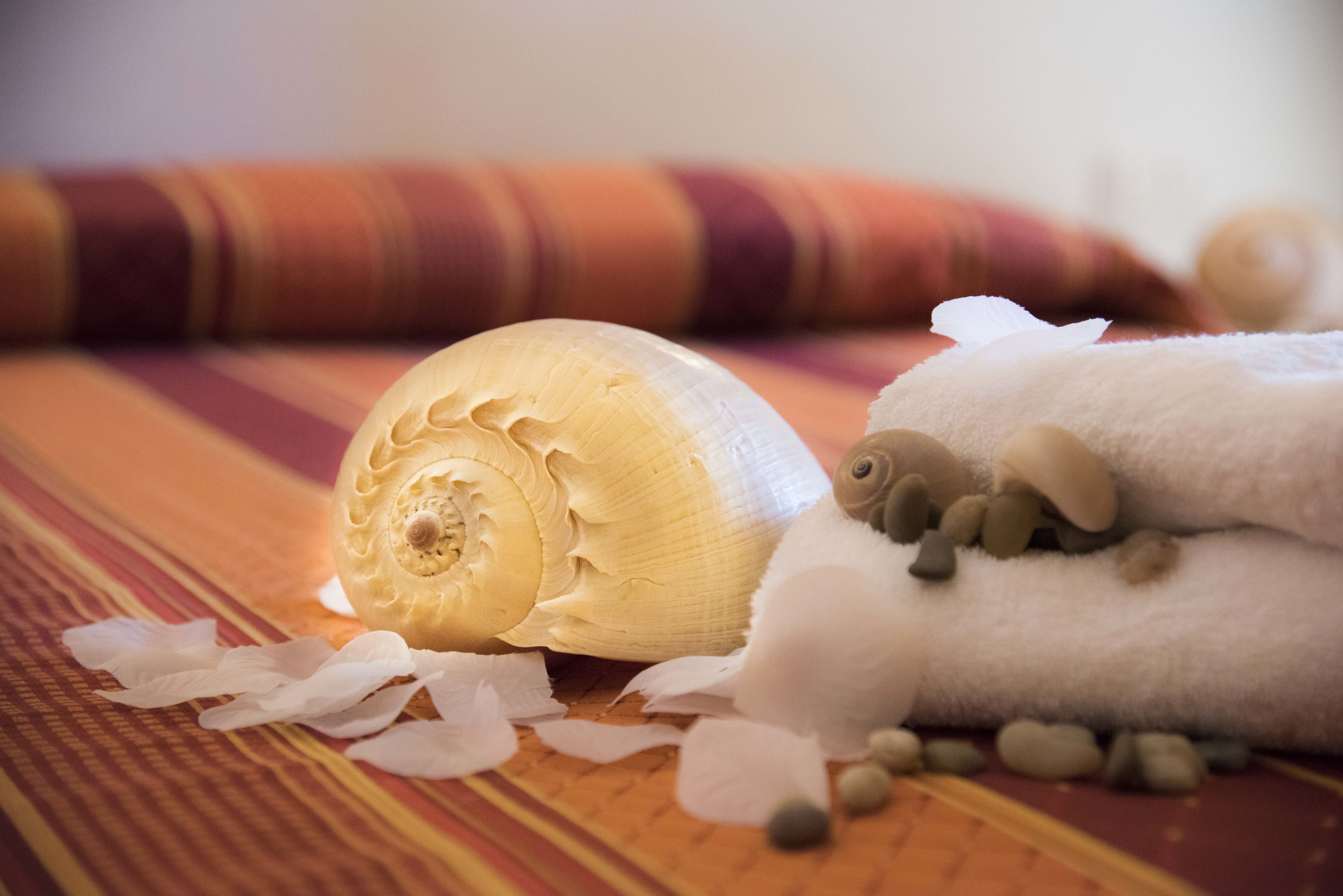 single room | bathroom amenities | rainfall showerhead, free toiletries, hair dryer, bidet