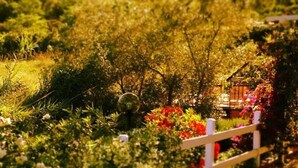 Un jardín con cerca blanca, diversas plantas y un comedero para pájaros.