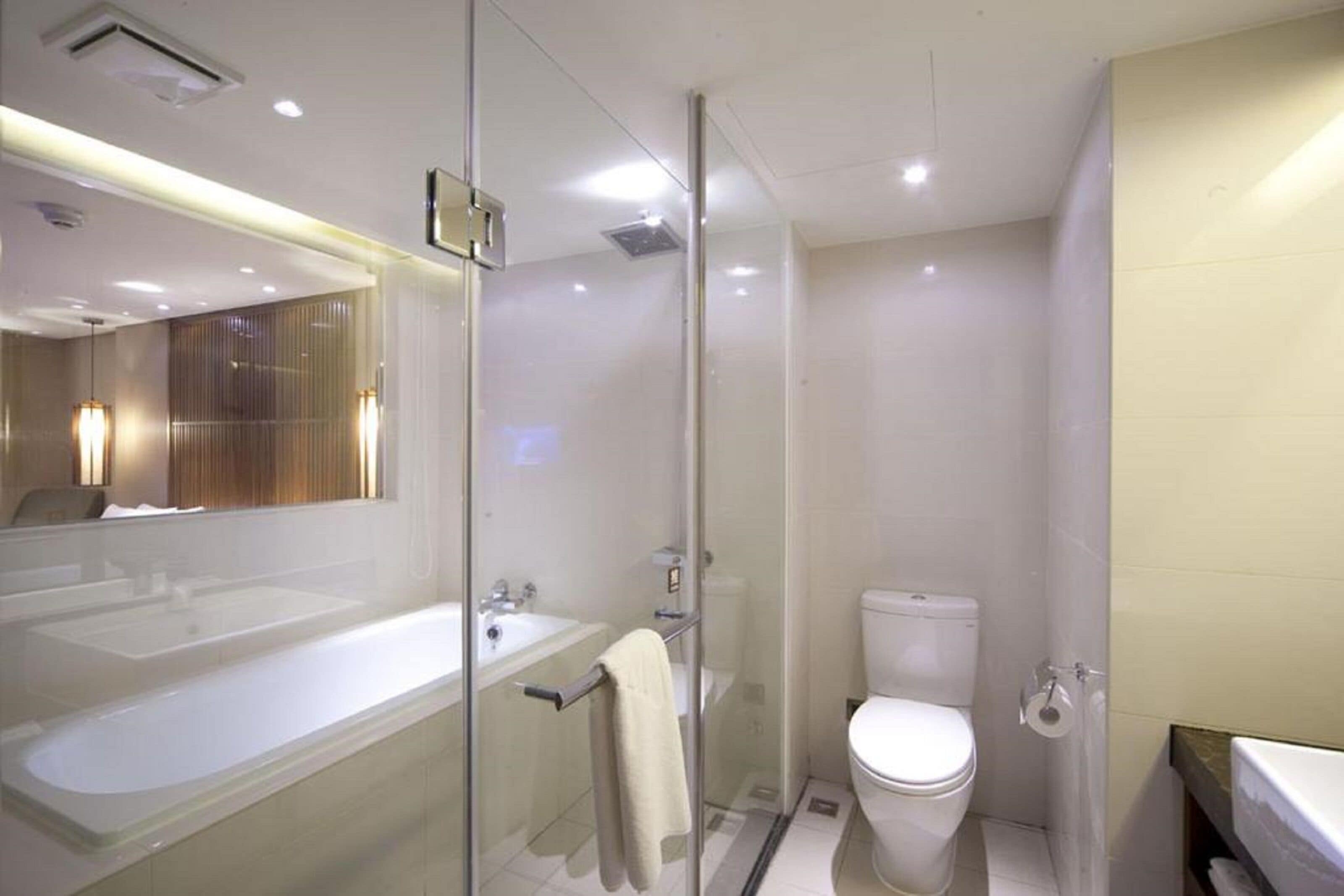 deluxe double room | bathroom | hair dryer, towels, shampoo, toilet paper