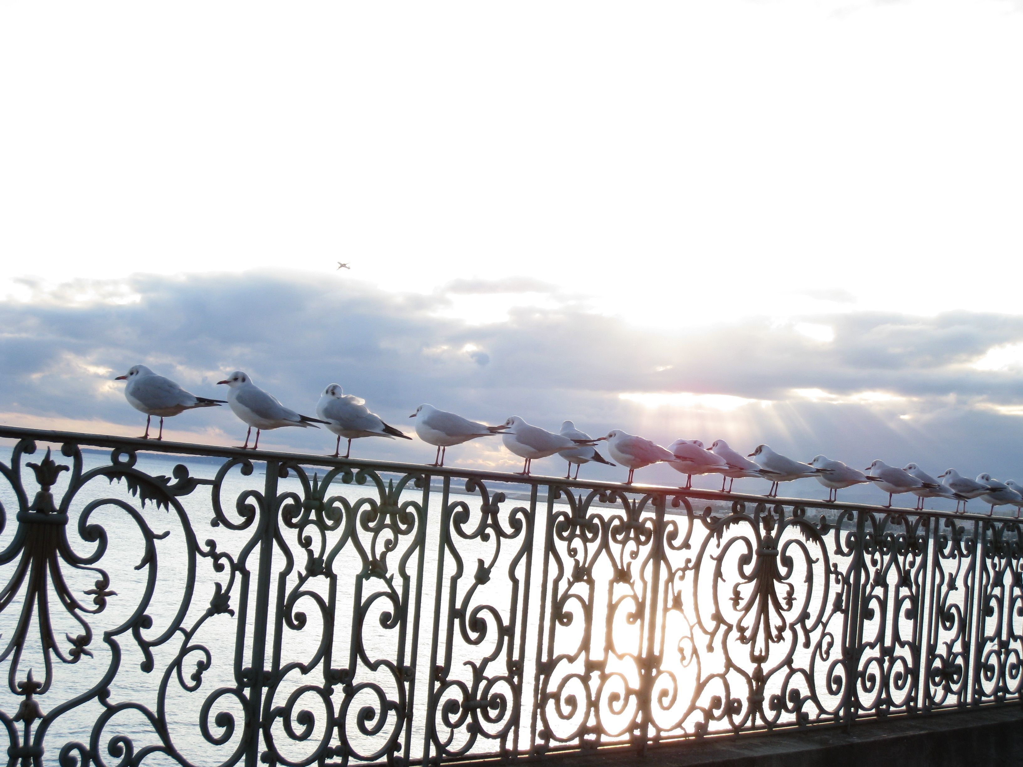 Photo - Hôtel Le Royal Promenade des Anglais