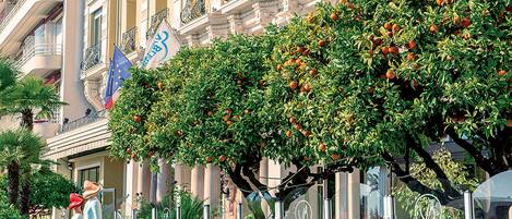 Un edificio con balcones, una fuente y un árbol de naranjos.