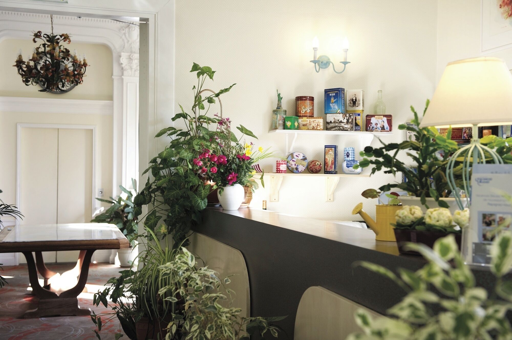 A reception area with a counter, potted plants, a chandelier, and a wall-mounted shelf with various items.