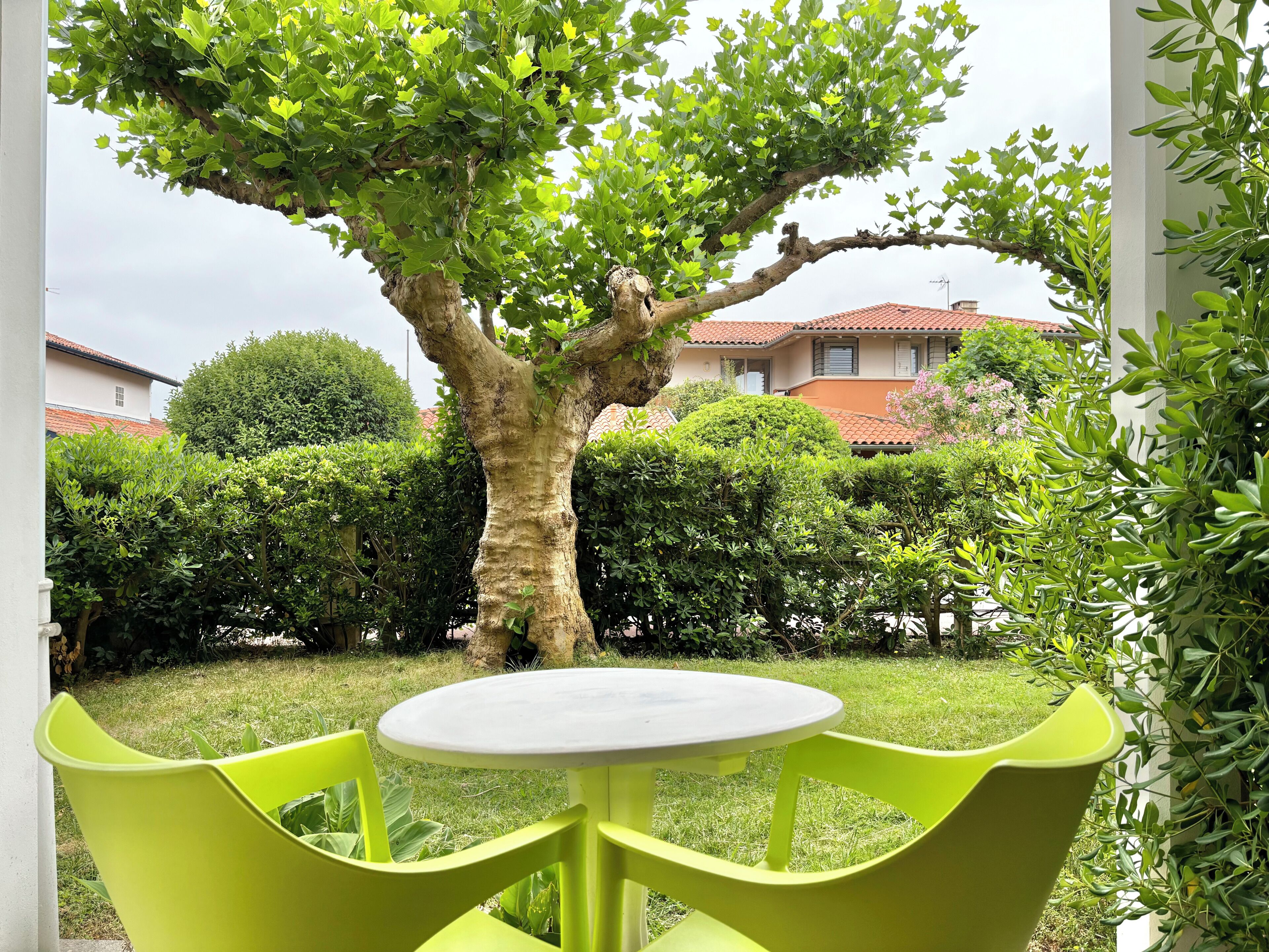 Un patio con una mesa redonda y dos sillas, rodeado de follaje y un árbol.