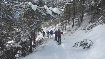Un grupo de personas caminando en un bosque nevado.