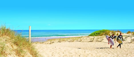 Beach nearby, beach volleyball