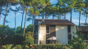 A house with a tiled roof, surrounded by tall pine trees.