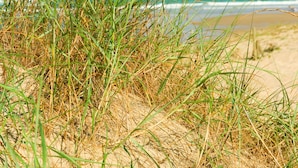 A beach with sand and grass in the foreground and the ocean in the background.