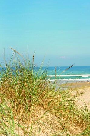 Exterior - Résidence Vacances Bleues Domaine de l'Agreou (Seignosse)