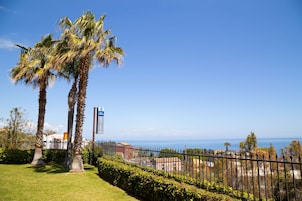 Vista sulla costa con palme, cielo sereno e un'area recintata con edifici sullo sfondo.