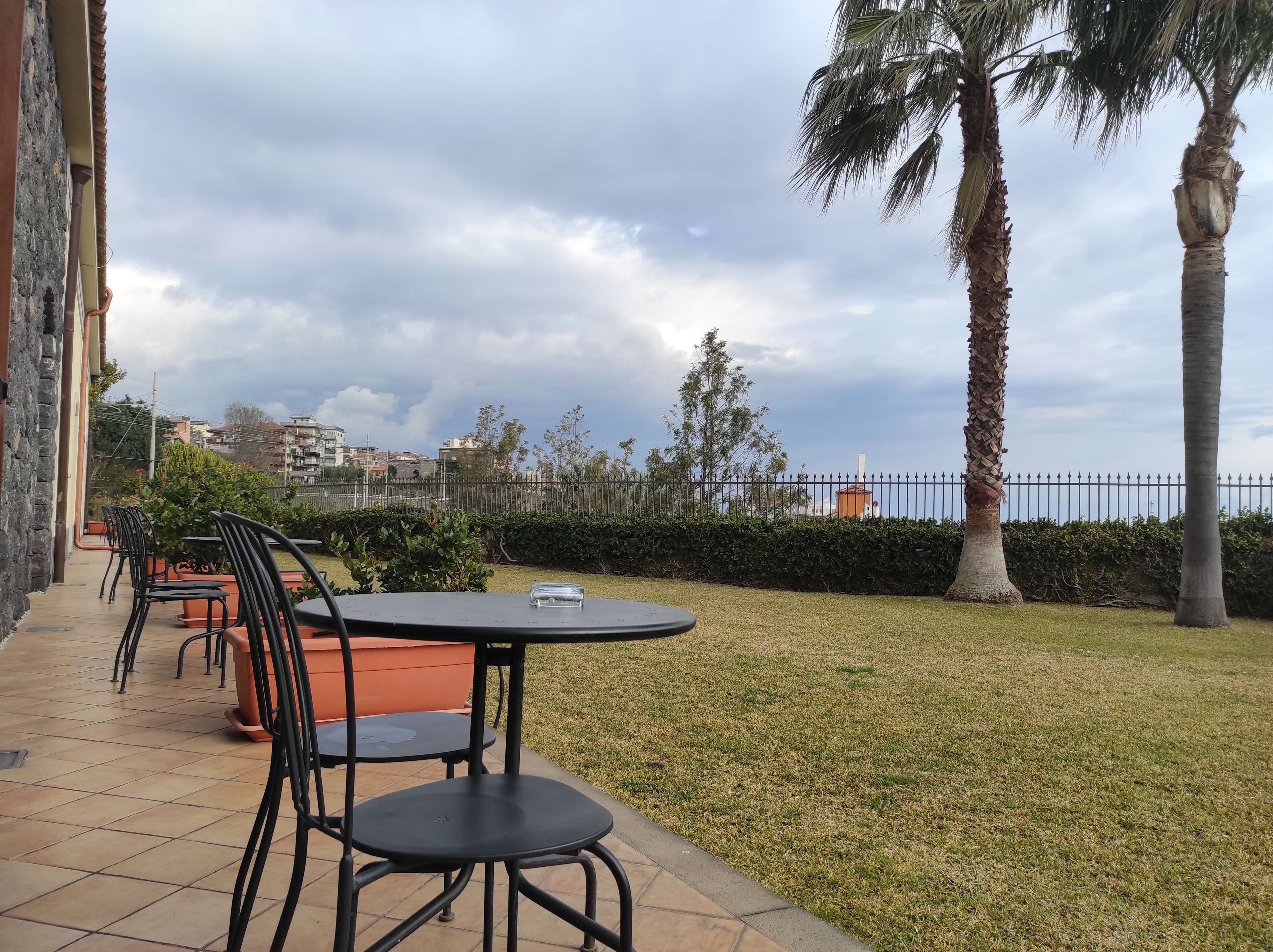 An outdoor patio with a table and chairs, a palm tree, and a view of the cityscape in the background.