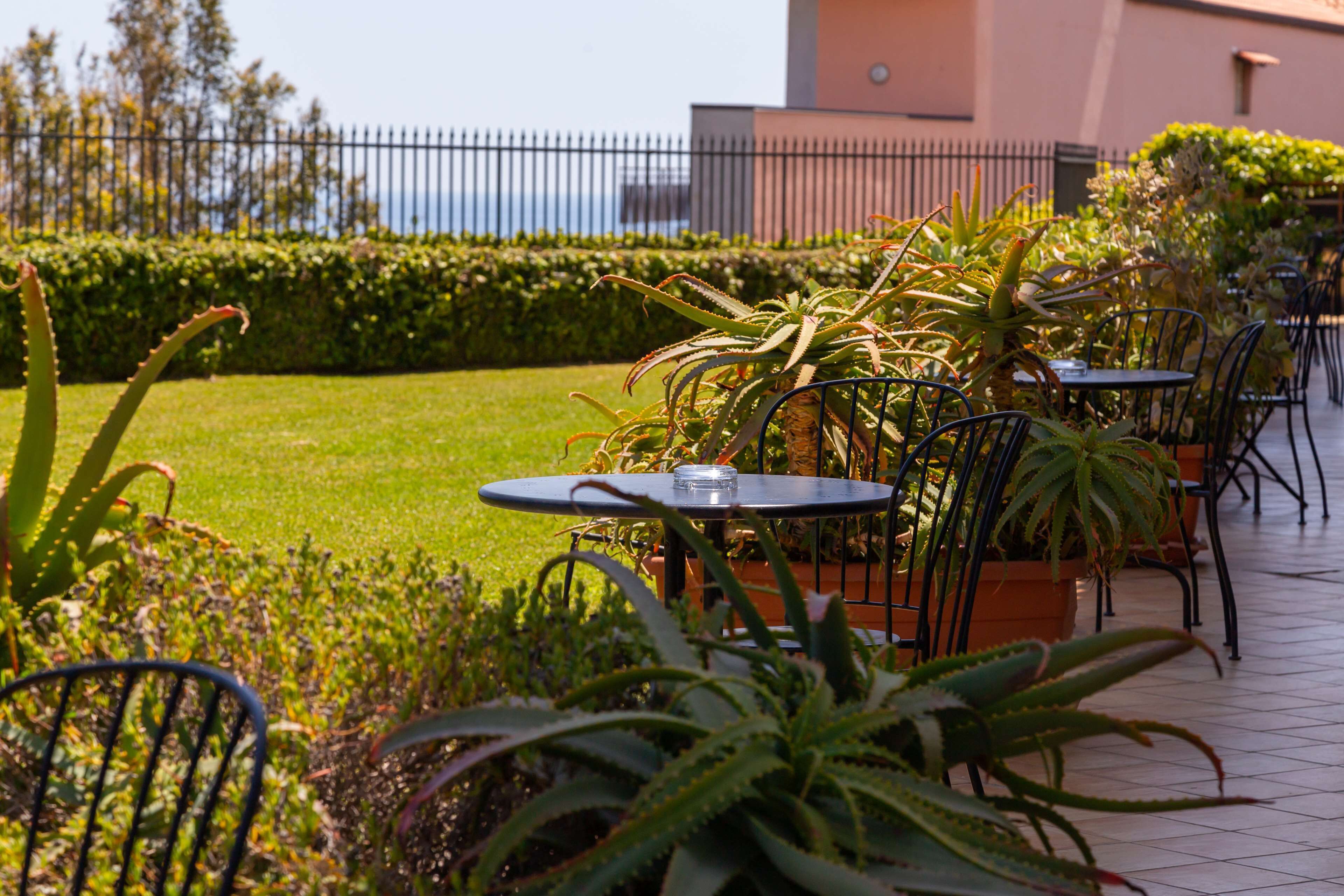 Une terrasse extérieure avec des tables et des chaises, entourée de plantes en pot et d’une pelouse bien entretenue.