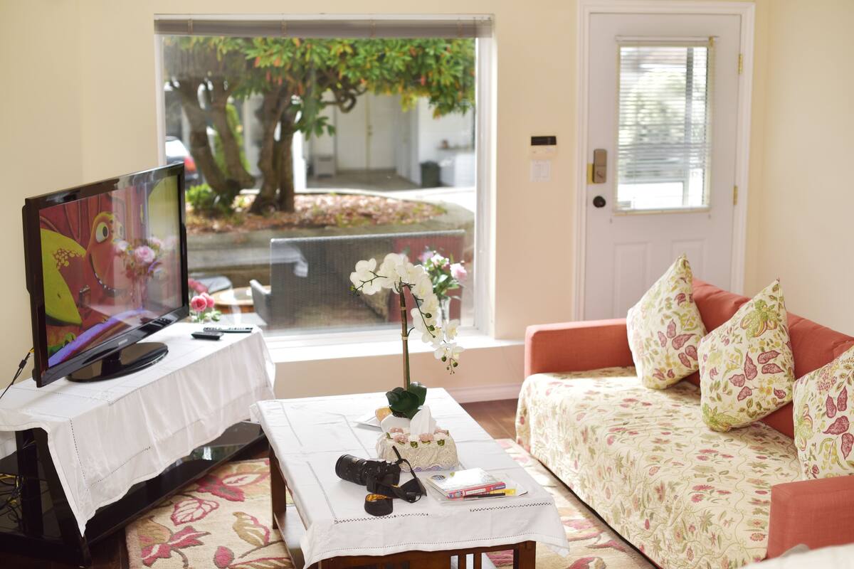 A living room with a television, a coffee table with a camera and books, a sofa with floral cushions, and a view of a tree outside.