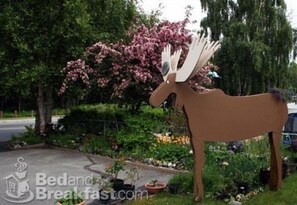 Property grounds - Anchorage Walkabout Town B&B (Anchorage)