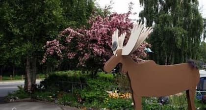 Anchorage Walkabout Town B&B