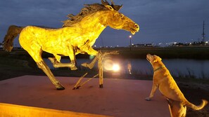 Une statue équestre dorée, avec un chien devant.
