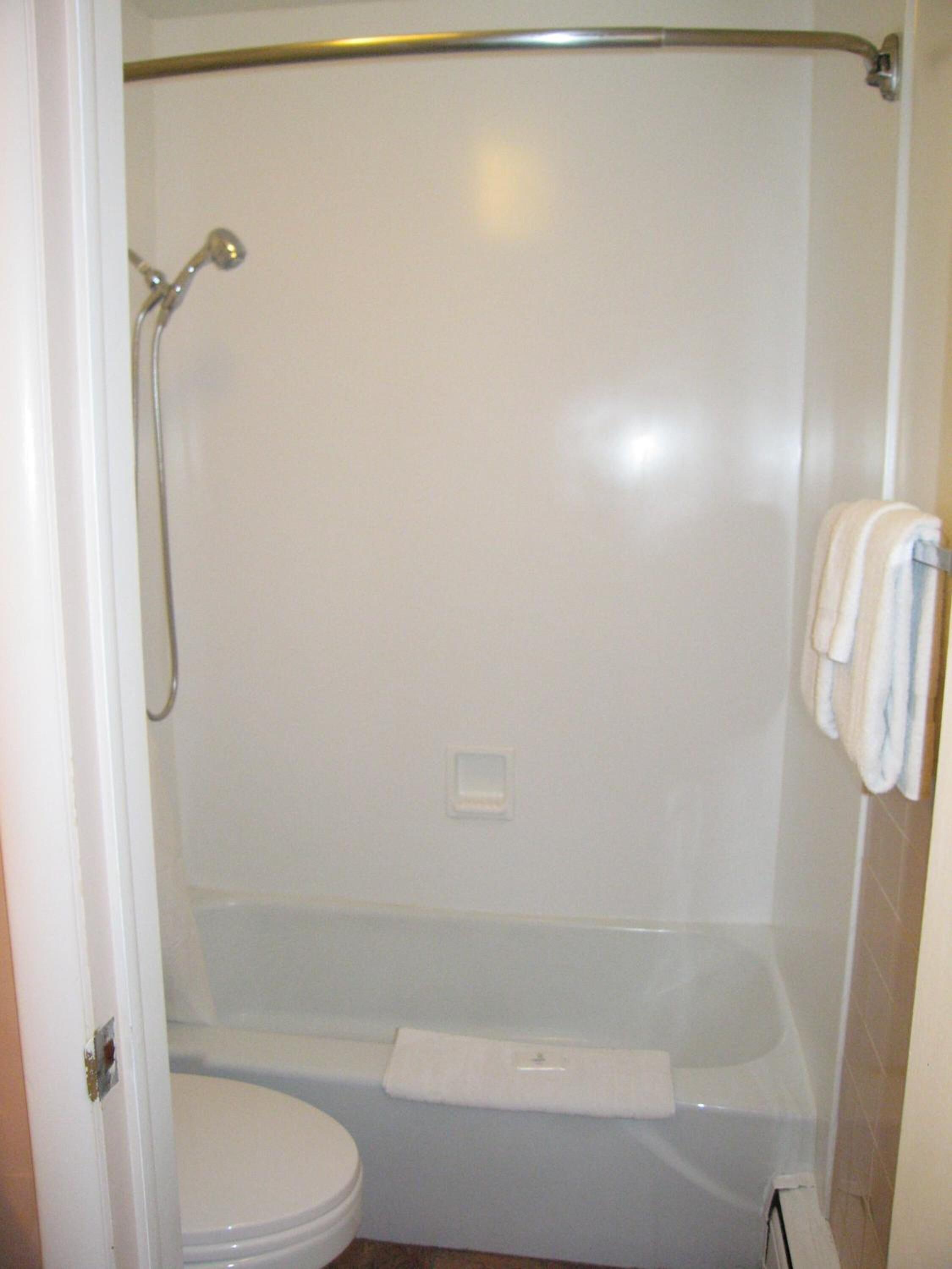 Baño con ducha, inodoro y barra para toallas.