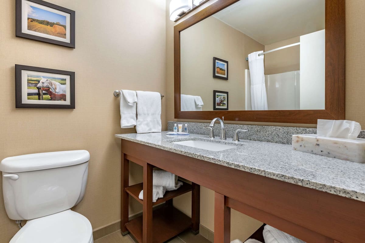 A bathroom with a white toilet, a granite sink with a mirror above, and two framed pictures on the wall.