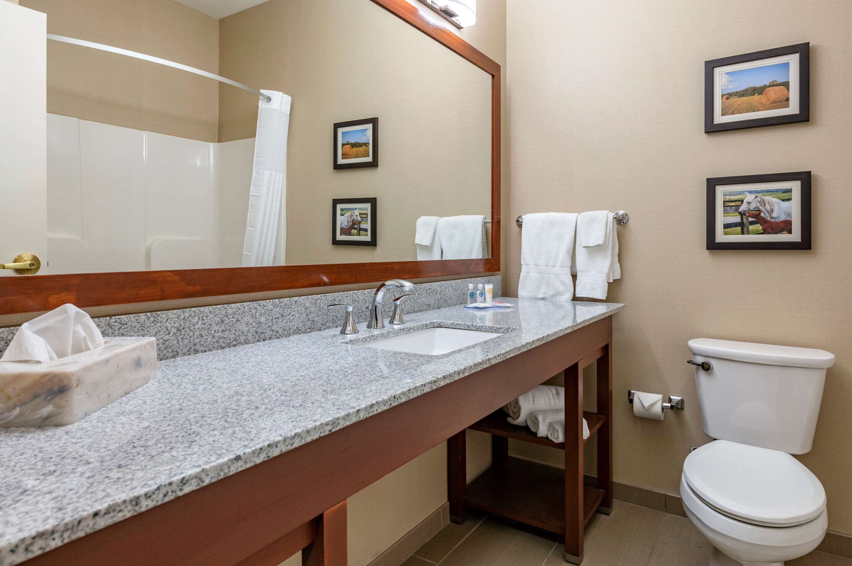 A bathroom with a granite countertop sink, a mirror, a toilet, and framed pictures on the wall.