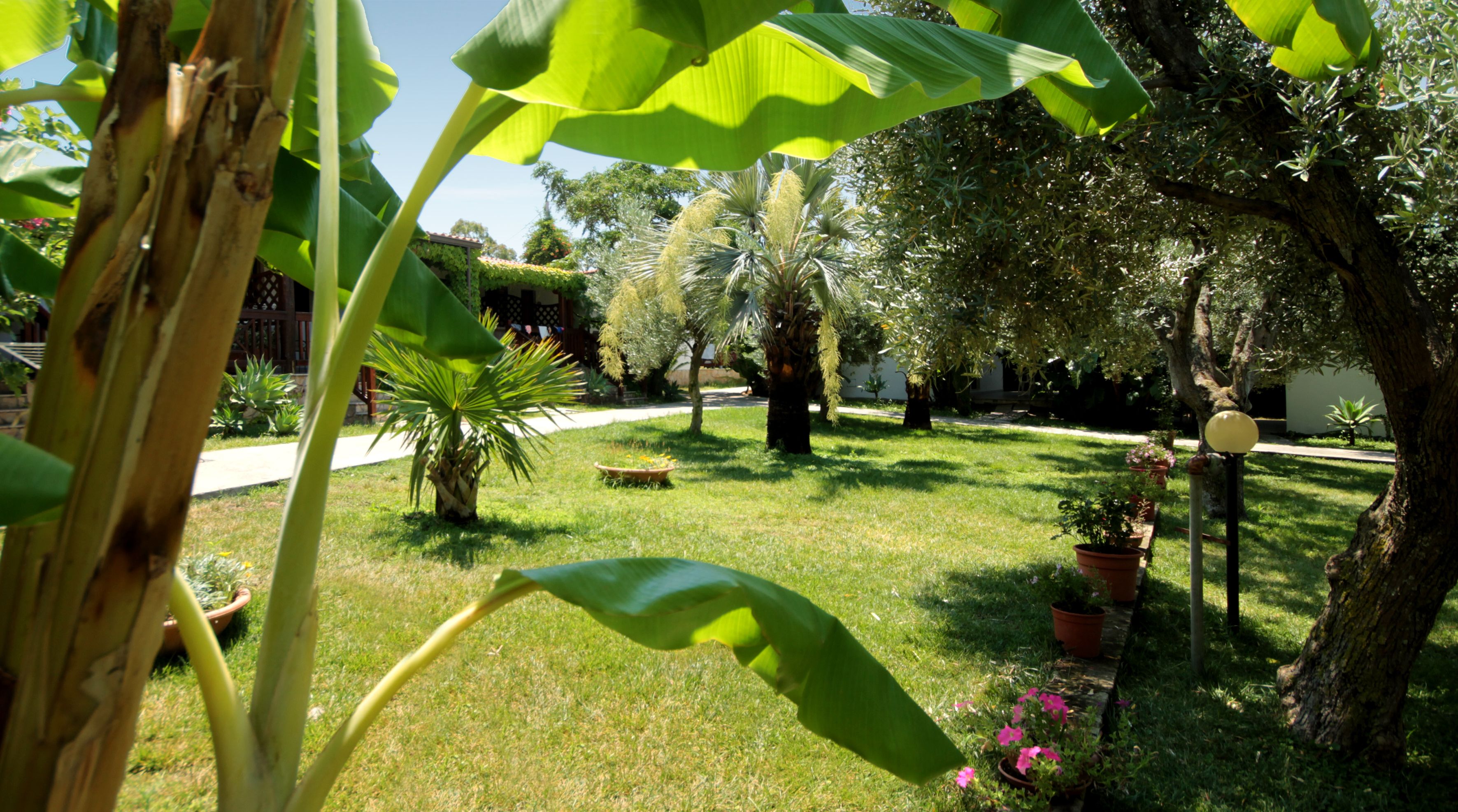 客房景觀