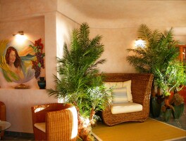 A room with a wicker sofa, a small table, and potted plants.