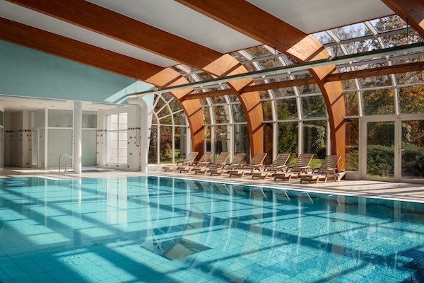 Indoor pool, sun loungers