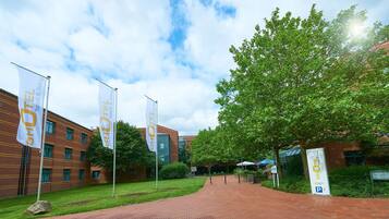 إطلالة على الفناء