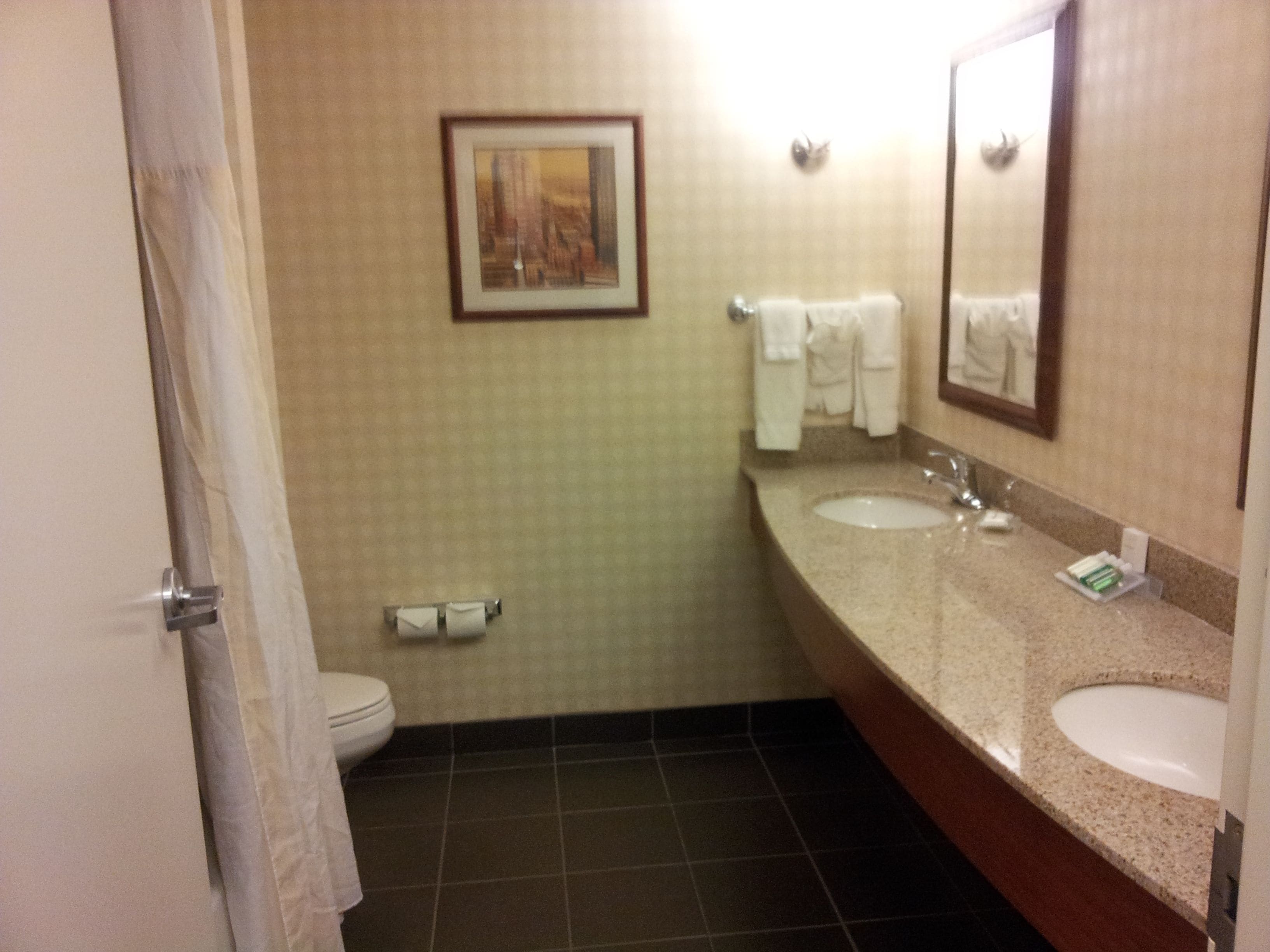 Une salle de bain avec deux lavabos, des toilettes, un tableau encadré au mur et un porte-serviettes.