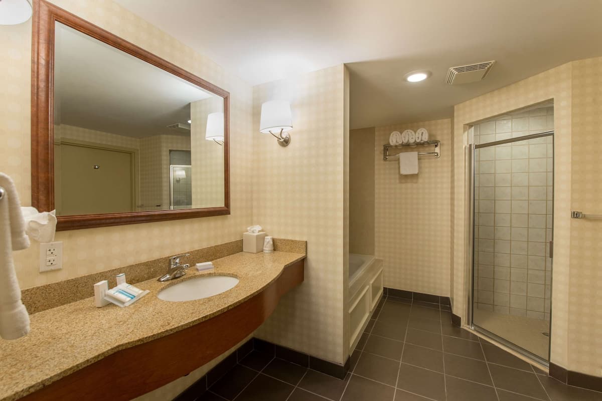 room | bathroom | shower, free toiletries, hair dryer, towels