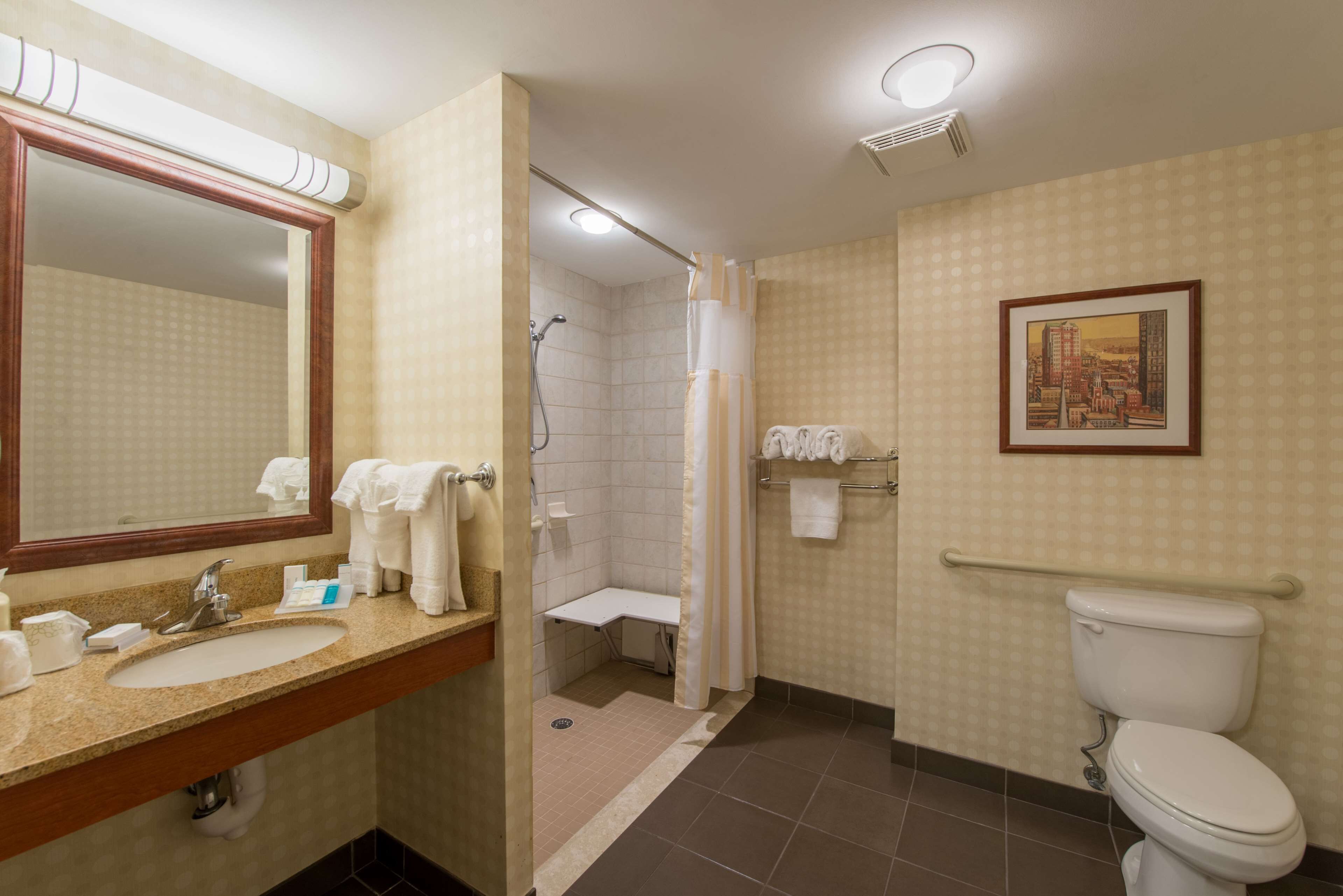 A hotel bathroom with a sink, mirror, toilet, shower, and a framed picture on the wall.