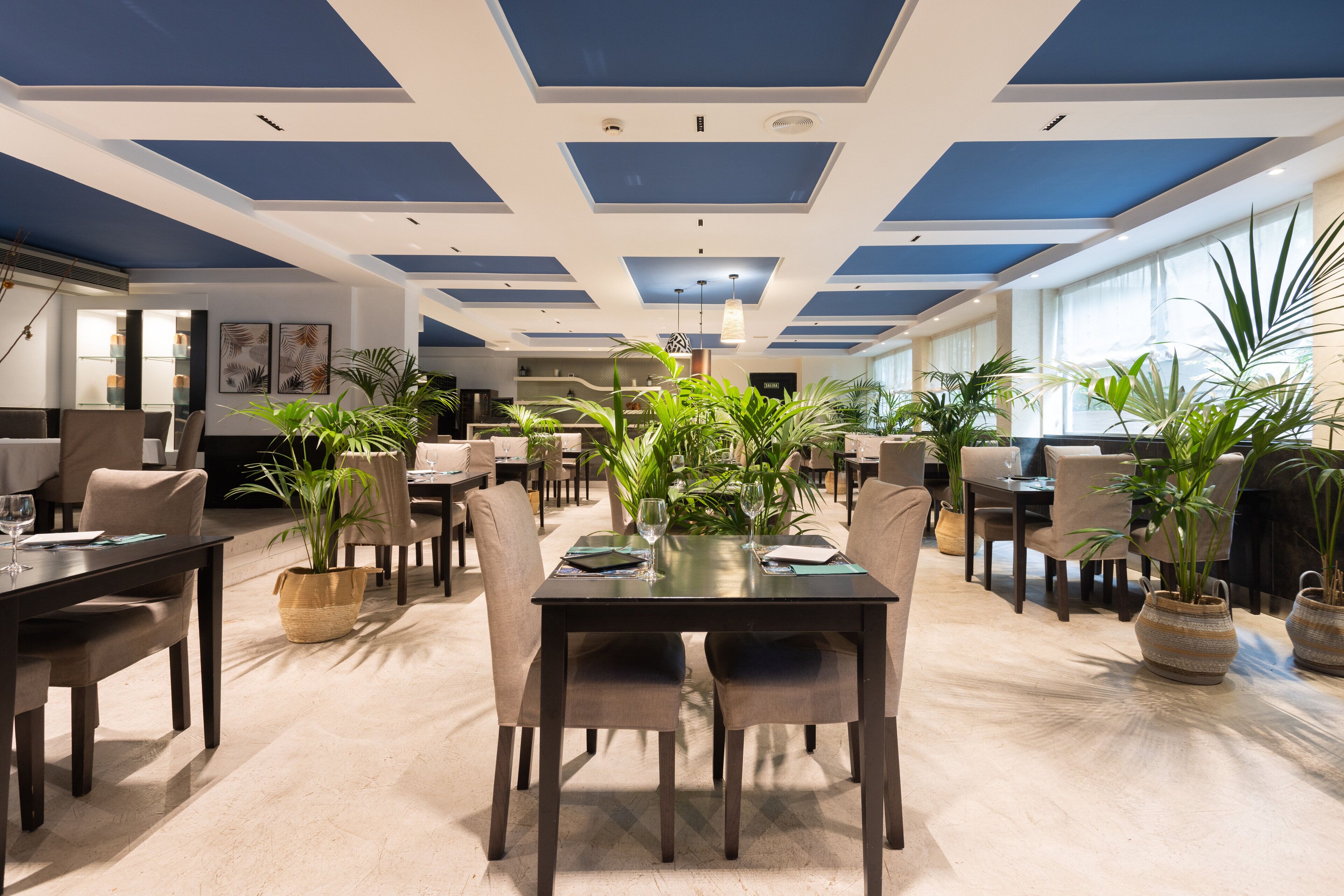 Un vaste espace dédié à la salle à manger, avec plusieurs tables et chaises, entouré de plantes en pot.