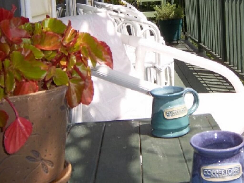 Un tavolo con una pianta in vaso, una tazza blu e un oggetto bianco.
