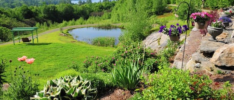 A garden with a pond, various plants, and a bench.