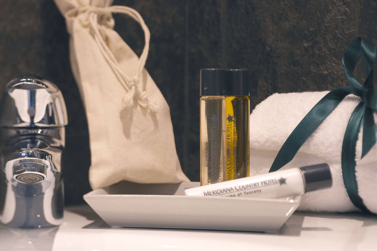 shower, free toiletries, hair dryer, bidet