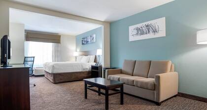 Sleep Inn & Suites Auburn Campus Area I-85