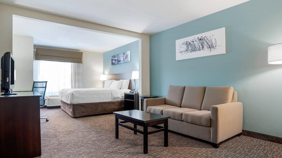 Sleep Inn & Suites Auburn Campus Area I-85