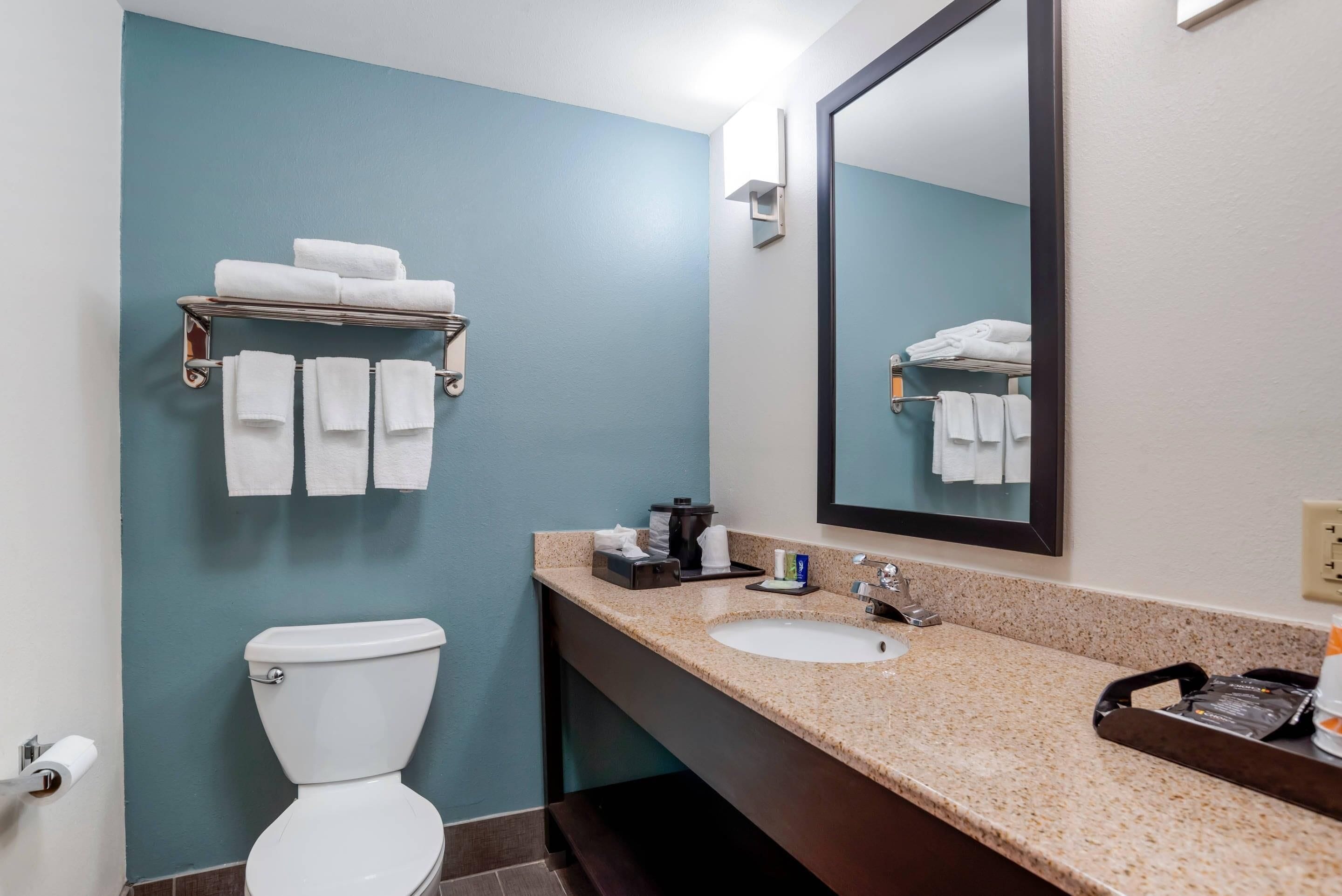 suite, non smoking | desk, iron/ironing board, free wifi, bed sheets