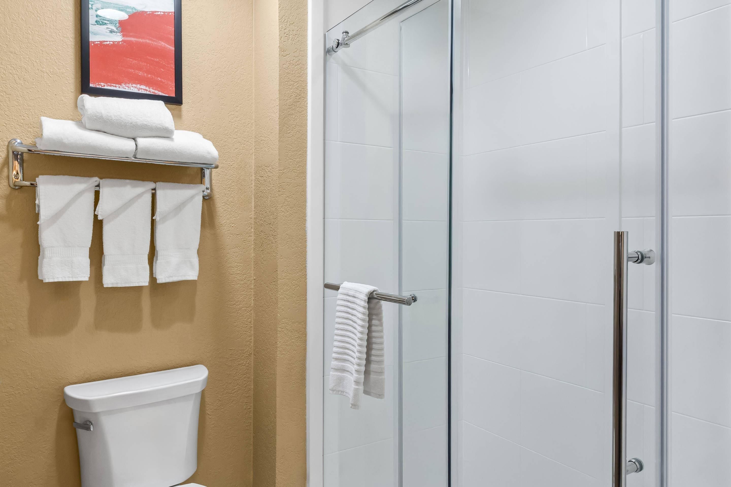 Ein Badezimmer mit Toilette, einer Duschkabine aus Glas und einem Handtuchhalter mit gefalteten Handtüchern.