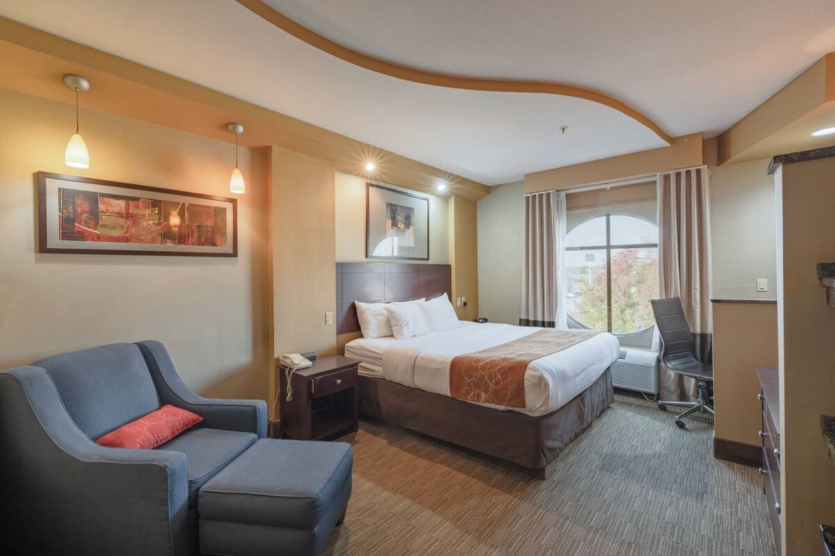 Una habitación de hotel con cama, escritorio, silla y sofá.