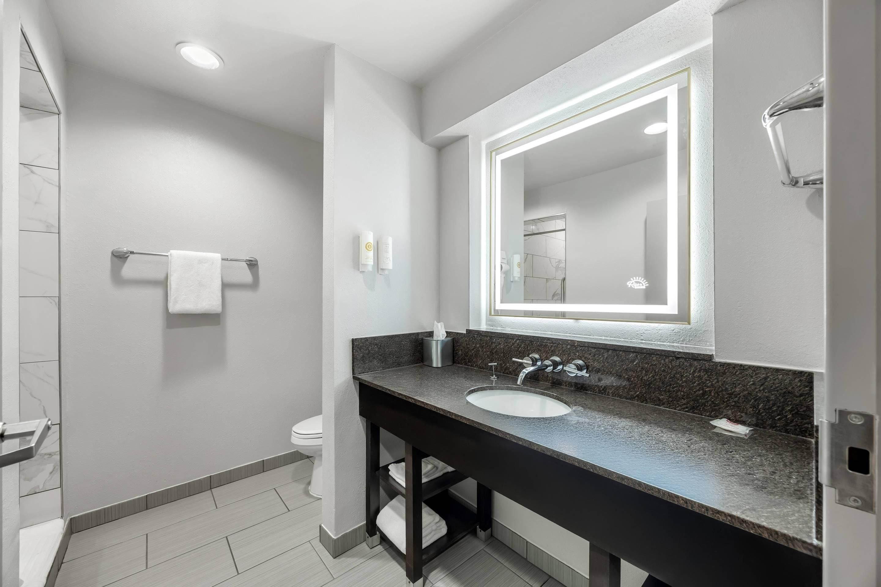 Une salle de bain moderne avec un grand miroir, un lavabo et une douche.