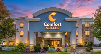 Comfort Suites Perrysburg - Toledo South