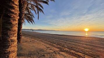 Una playa con una palmera y un atardecer.