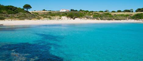 Un paysage côtier caractérisé par une eau turquoise et limpide, une plage de sable et une végétation clairsemée.
