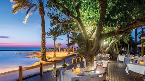 Un restaurante frente al mar con mesas bajo un gran árbol, con vistas a la playa y al océano.