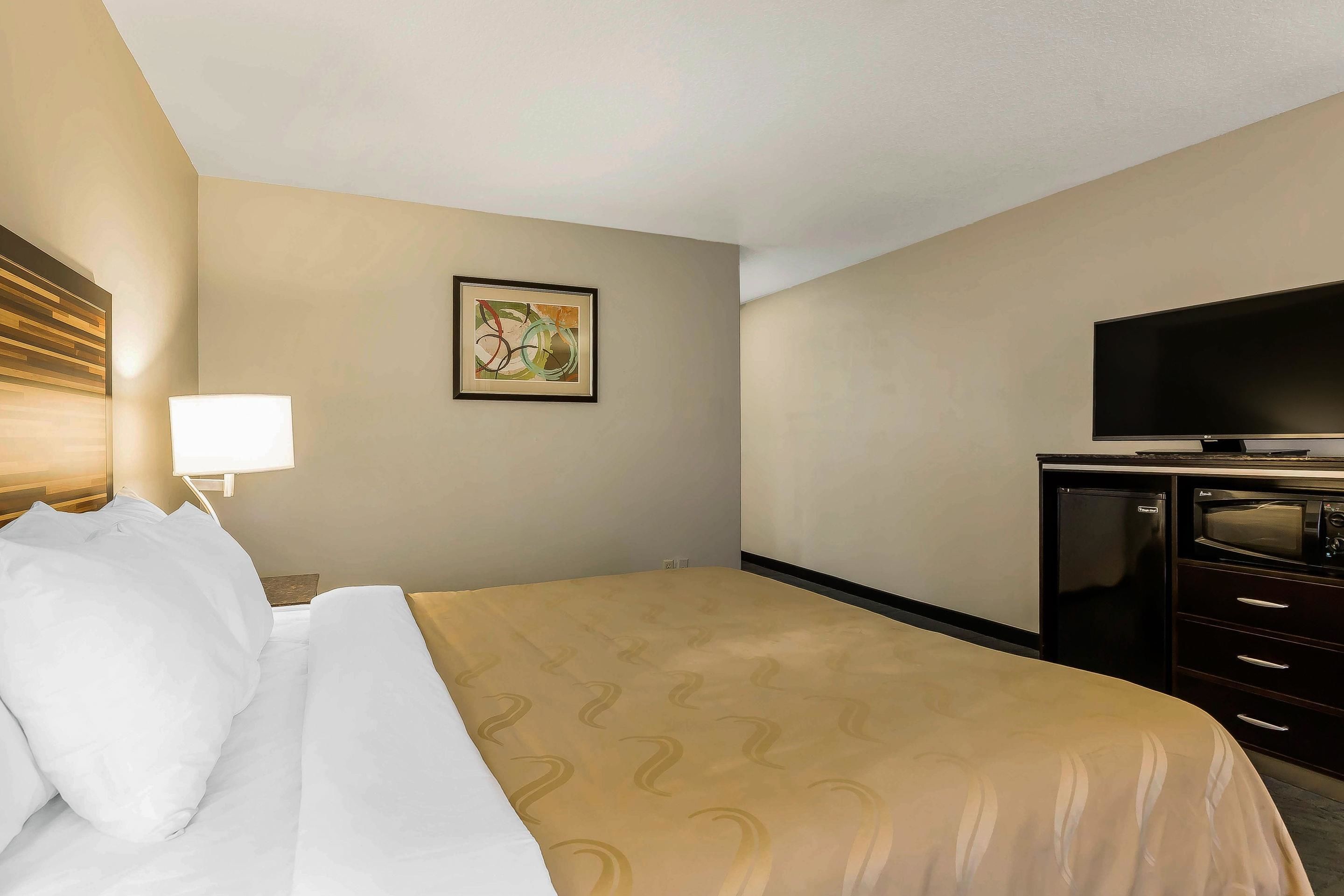 A hotel room with a bed, a television, a desk, and a wall-mounted artwork.