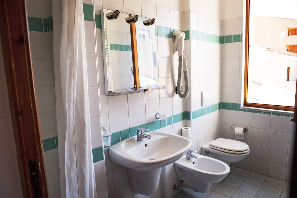 combined shower/bathtub, free toiletries, hair dryer, bidet