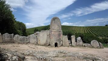 Eine alte Steinstruktur mit einer zentralen Säule und einem Eingang, umgeben von einem Weinberg.