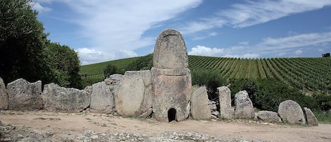 An ancient stone structure with a central pillar and an entrance, surrounded by a vineyard.