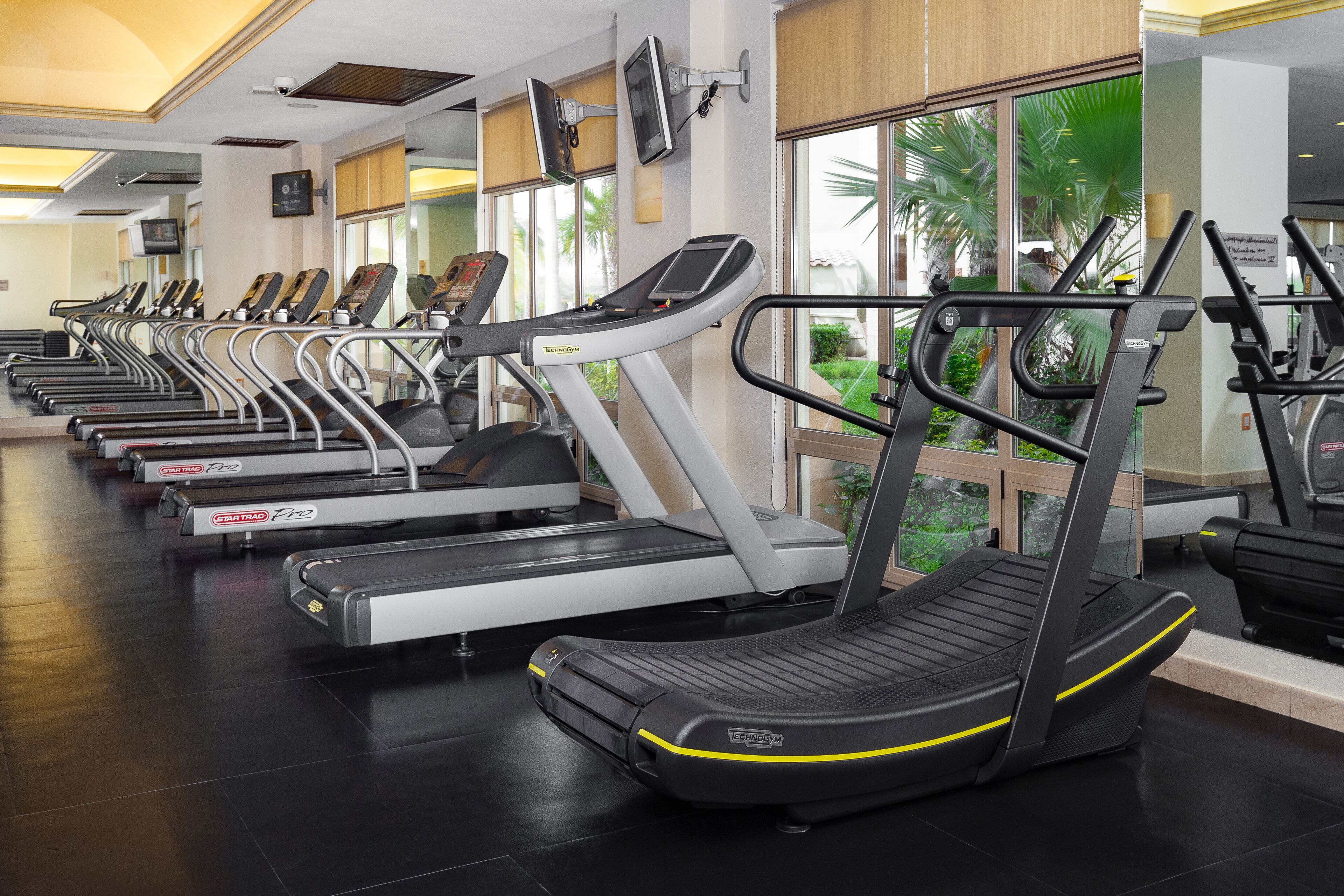 A row of treadmills in a gym with large windows and a view of palm trees outside.
