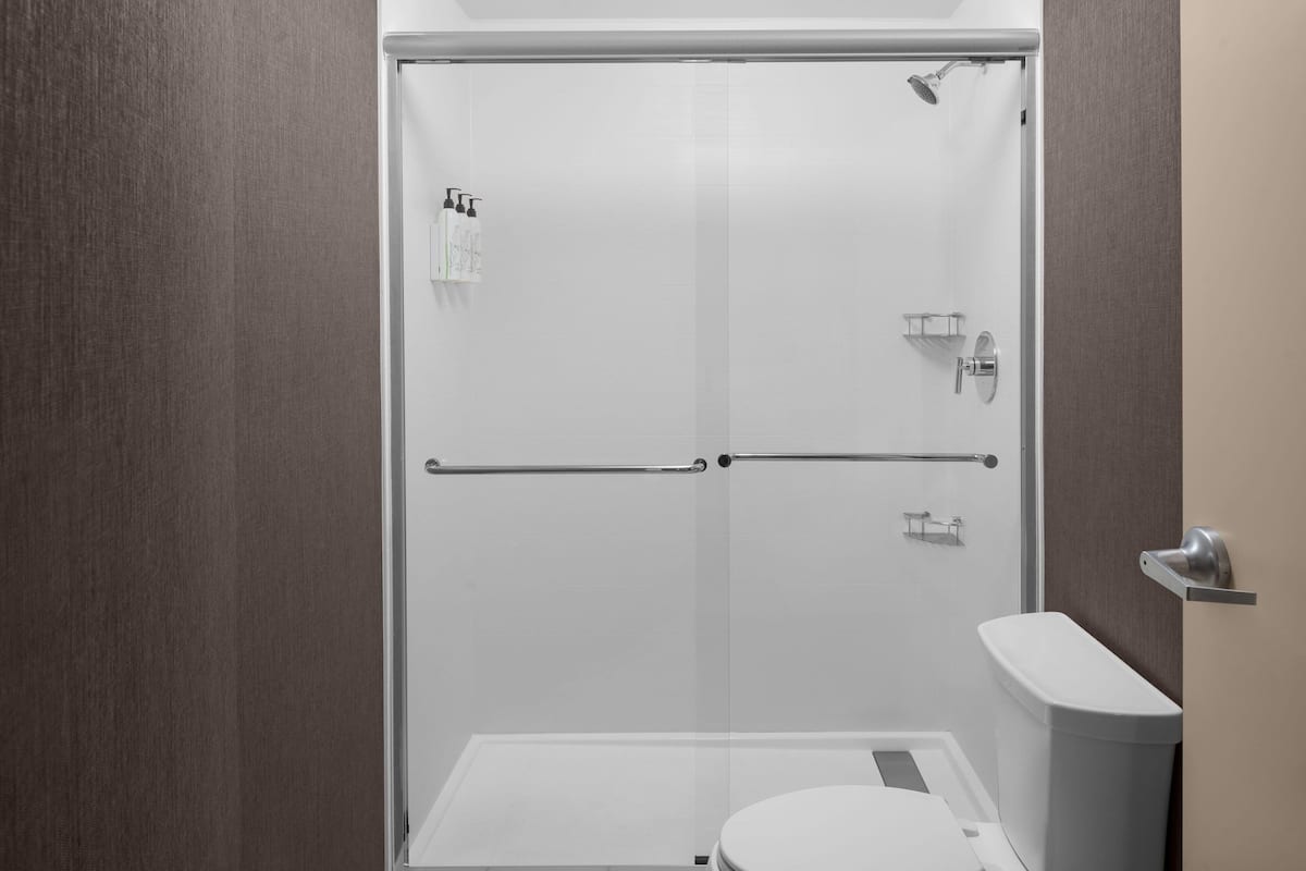 combined shower/bathtub, free toiletries, hair dryer, towels